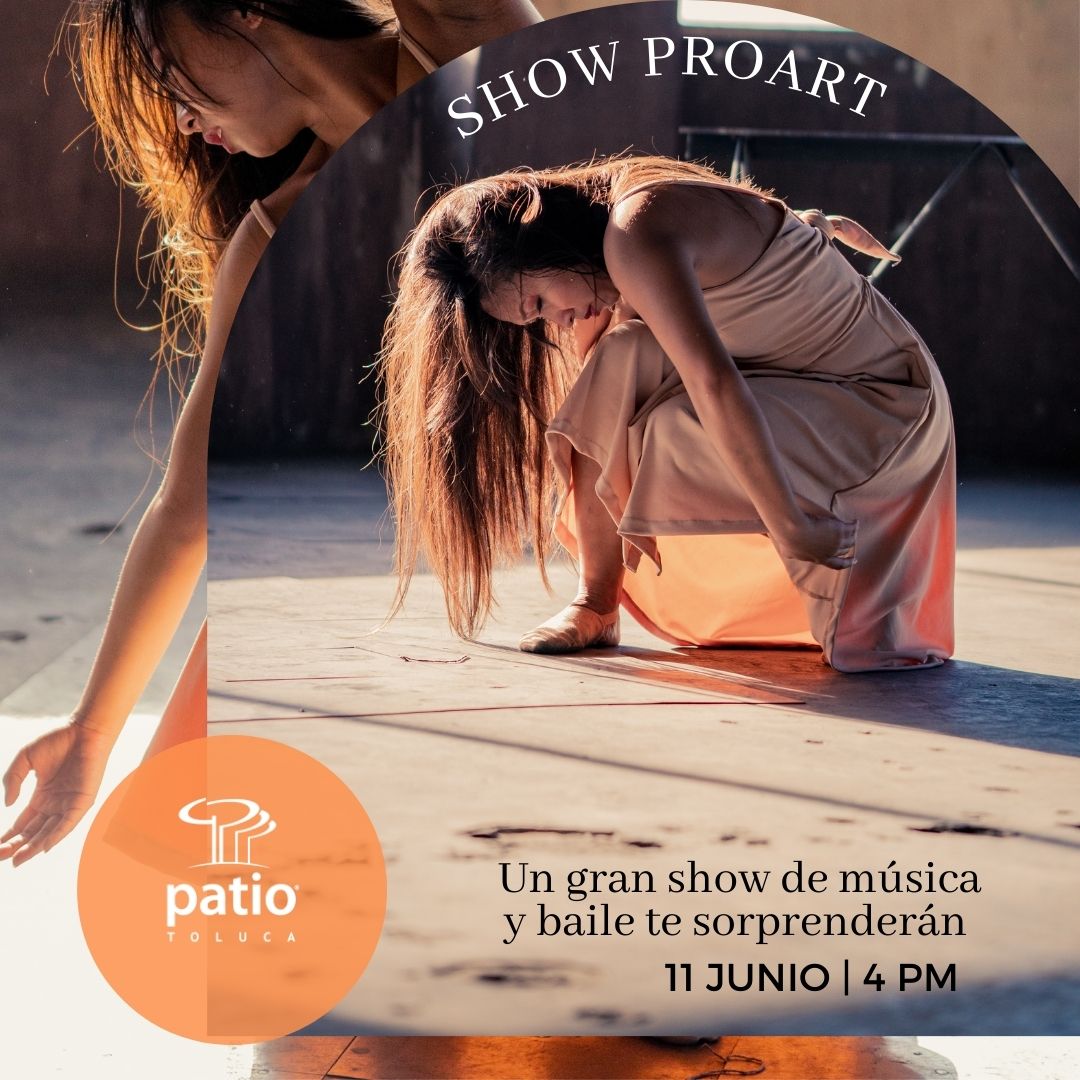 Las Plazas Outlet Lerma - SHOW PRO ART 